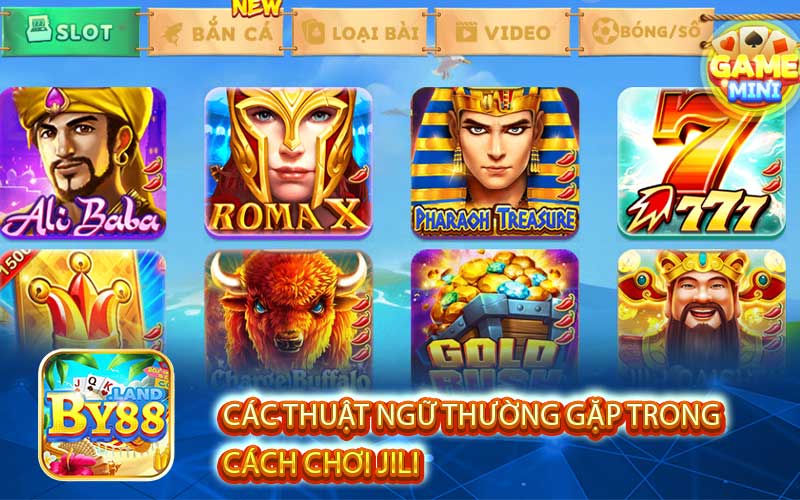 Các Thuật Ngữ Thường Gặp Trong 
Cách Chơi Jili