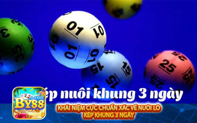 Khái niệm cực chuẩn xác về nuôi lô kép khung 3 ngày 