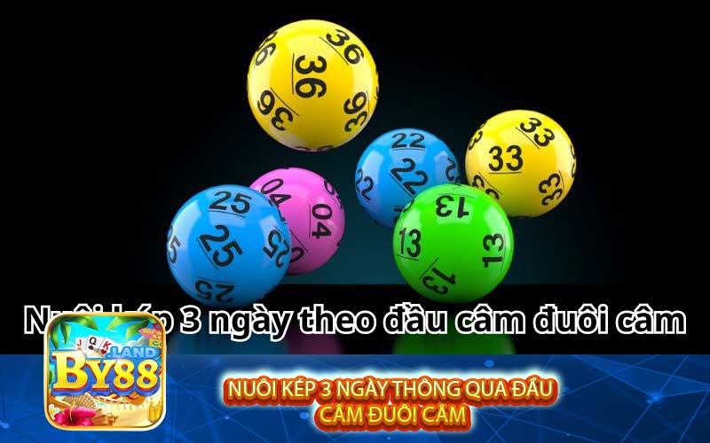 Nuôi kép 3 ngày thông qua đầu câm đuôi câm